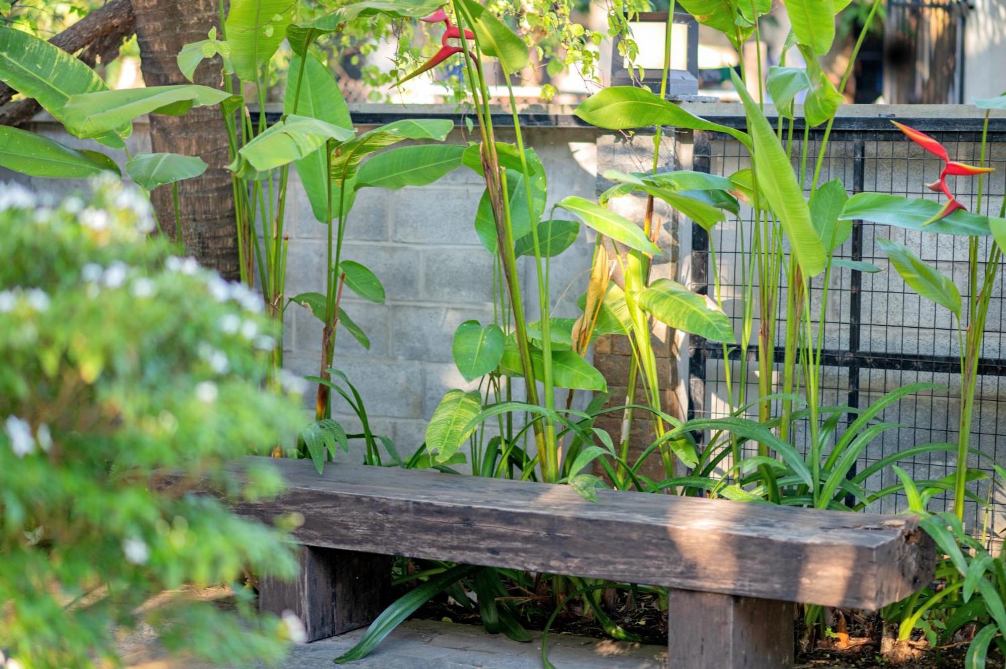 Mayci Boutique Hotel & Restaurant By Amber Hoi An Exteriér fotografie